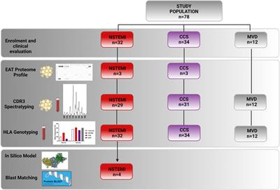 Restricted T-Cell Repertoire in the Epicardial Adipose Tissue of Non-ST Segment Elevation Myocardial Infarction Patients